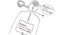 本当に痩せたいなら｢白米｣を食べたほうがいい…｢糖質制限｣では脂肪だらけの体になる不都合な真実