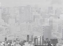 水野和夫"日本は中国よりドイツに近づけ"