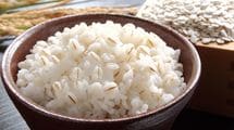 人生50年時代に75歳まで生きた徳川家康の「食の秘密」