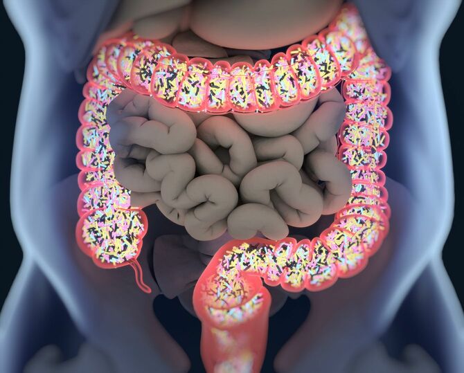 腸内細菌でいっぱいの腸内のイメージ