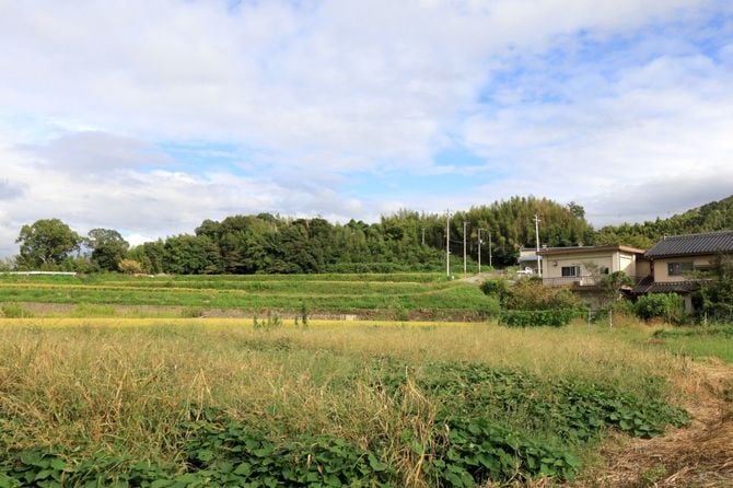 西麓から見た淡河城