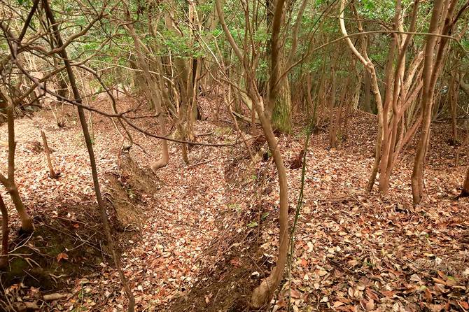 こちらは北尾根の北東斜面。カーブしている竪堀は珍しい
