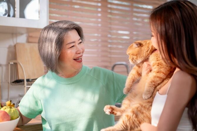 猫を抱えた女性と祖母