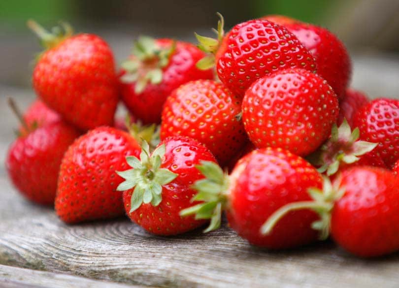 日本の損失2億 韓国が イチゴ泥棒 中国は シャインマスカット泥棒 President Online プレジデントオンライン 日本の損失2億 韓国が イチゴ泥棒 中国は シャインマスカット泥棒 President Online プレジデントオンライン