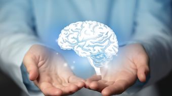 暴走運転の原因は｢運転脳｣にある…高齢ドライバーの事故率が3.4倍になる｢白質病変｣という脳の異常