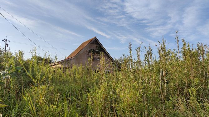 近づくことも難しくなった放置別荘。利用されなくなっても、建物があれば固定資産税が課税されていることが多い。（千葉県山武市）