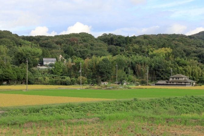 淡河城西付城