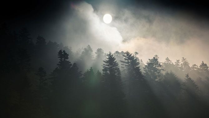 2026佳作（2）「目覚めるモリ」彭 博さん