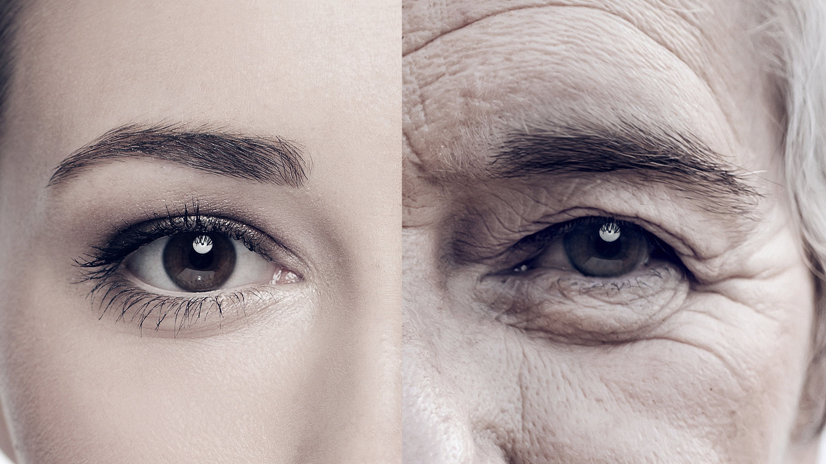 40代で一気に 顔の老化 が進む人が毎朝食べているもの 年best5 血管の専門家が老け顔を科学する President Online プレジデントオンライン