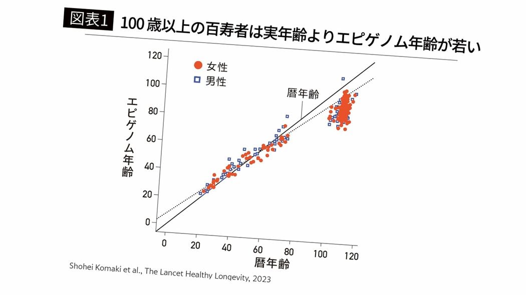 100歳超の人ほど実年齢より細胞年齢が若い…医師｢最新研究で明らかになった“老化スイッチの正体”｣