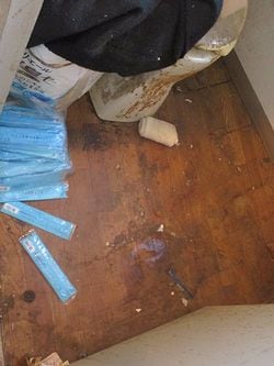 トイレは便座の周囲まで汚れてしまっていた。