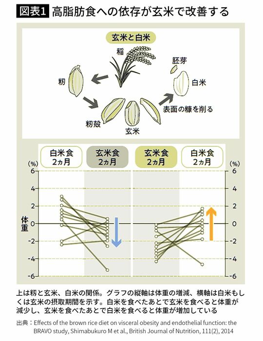 【図表1】高脂肪食への依存が玄米で改善する