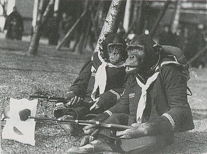 制服を着て銃や国旗を持つチンパンジーの白黒写真