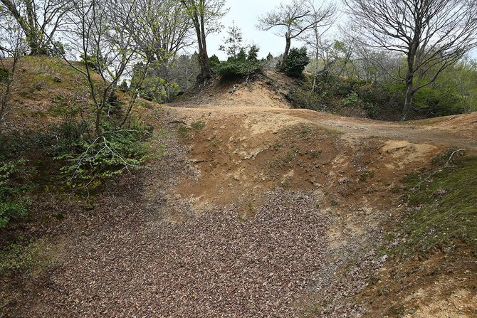 主郭南側の堀にかけられた土橋と、その先の虎口。