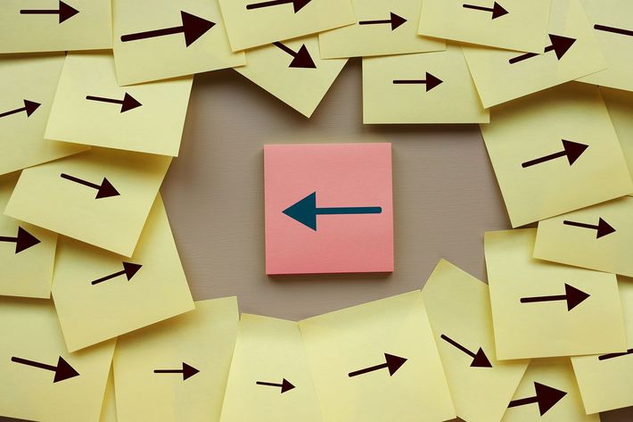 ※写真はイメージです