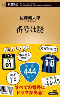 佐藤健太郎『番号は謎』（新潮新書）