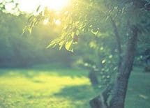 介護保険の夫負担 世帯所得500万「1％」なのに380万「2％」の不可解事例