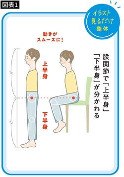 【図表1】股関節で「上半身」「下半身」が分かれる