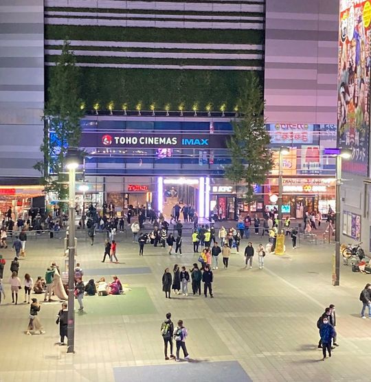 東京都新宿区歌舞伎町「新宿東宝ビル」周辺でたむろをする若者の集団の通称「トー横キッズ」