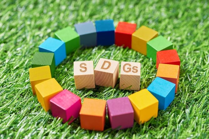 SDGsの文字が刻印された木製の立方体