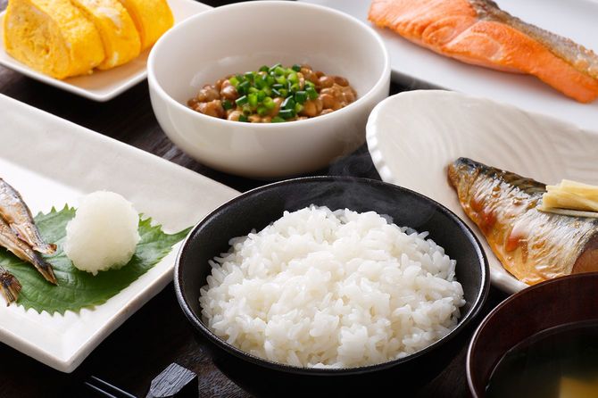 伝統的な日本料理