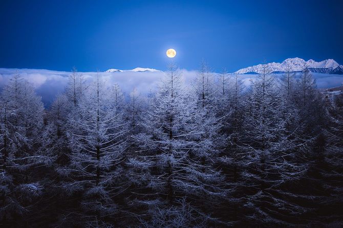 2026優秀賞「月夜の高原」大田将太郎さん