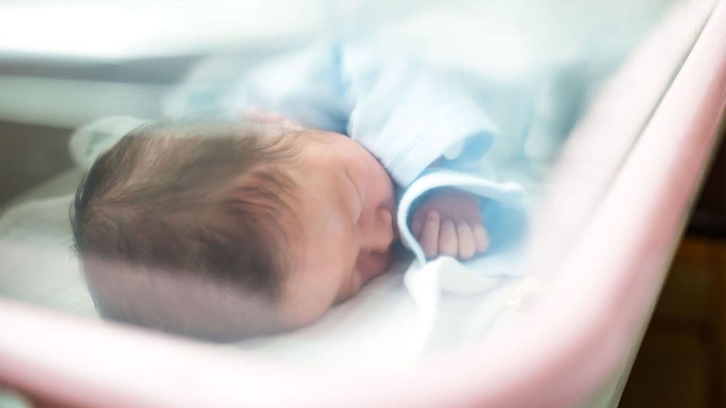 卵子が減少しても確実に採卵する技術がある…不妊治療の名医たちが伝える｢40代からの妊娠｣で大切なこと 無理せずゆっくり続ければ確率は上がる