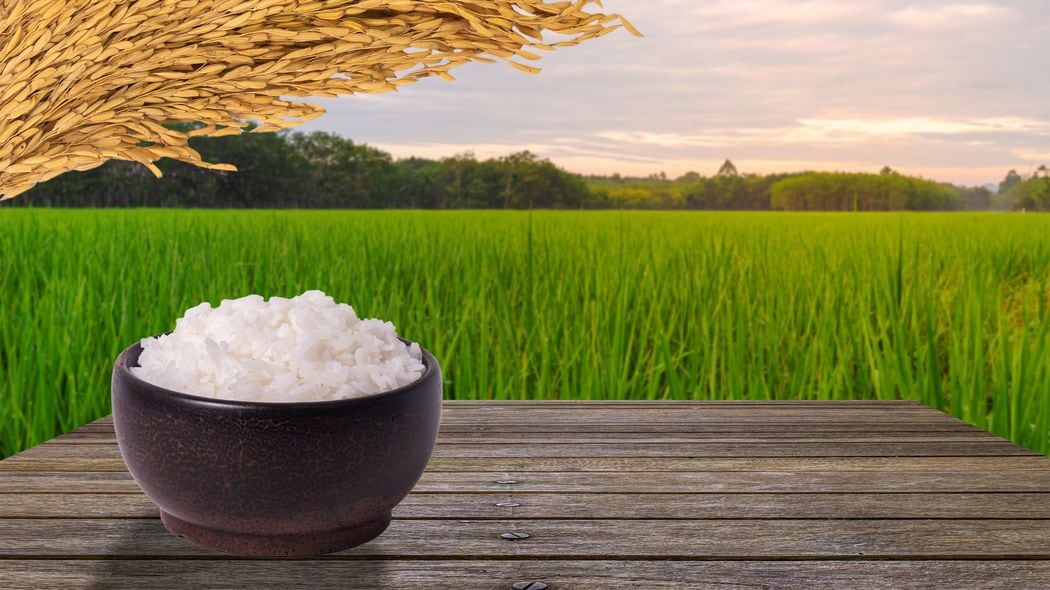 コメ高騰の犯人は｢JA｣でも｢卸｣でもない…｢令和のコメ騒動｣で価格を吊り上げていた"真犯人"の正体 やっぱり5キロ2000円は安すぎ