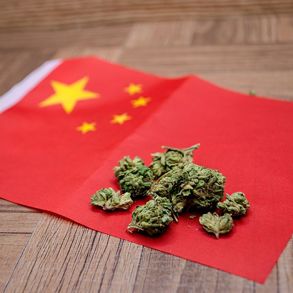 公式な統計は存在しないが 中国が 世界一の大麻大国 と呼ばれる背景 すでに大麻関連特許の半数は中国発 President Online プレジデントオンライン