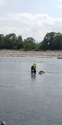 川で砂金を探す河浚さん