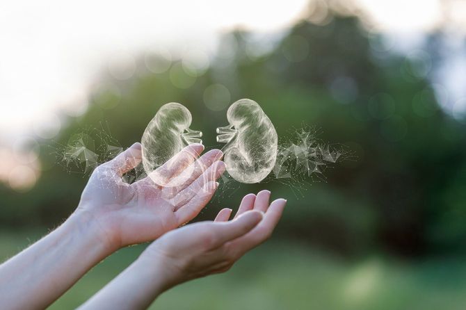 腎臓病の患者のサポートと治療の概念