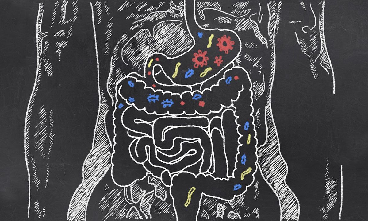 黒板に描かれた腸内細菌のイラスト
