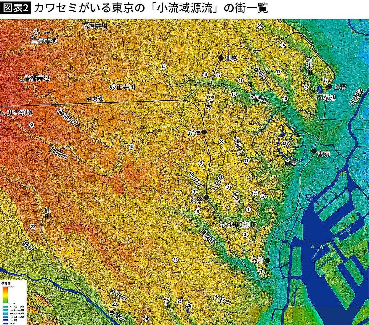【図表】カワセミがいる東京の「小流域源流」の街一覧