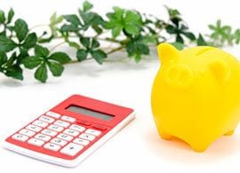 実は安上がり！ ネットショップ“フル活用”で食費2割減