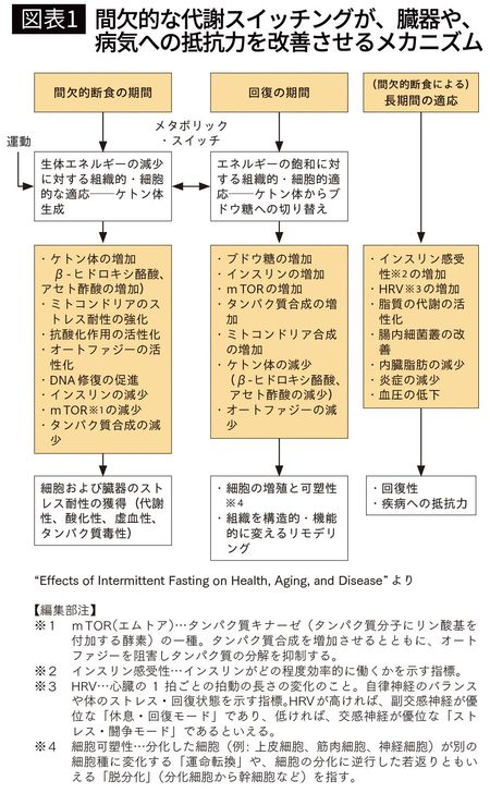【図表1】間欠的な代謝スイッチングが、臓器や、病気への抵抗力を改善させるメカニズム
