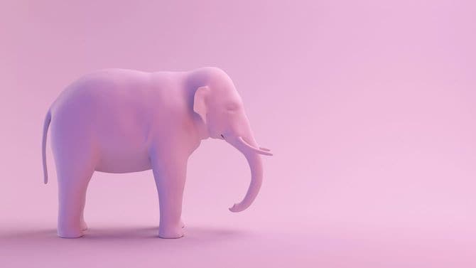 ピンクのアジアゾウ