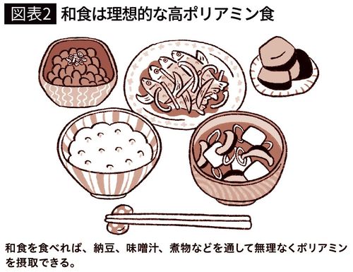 【図表2】和食は理想的な高ポリアミン食
