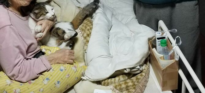 起き上がって猫を抱く妻とその横に立つ夫。突然、在宅介護を余儀なくされたという。