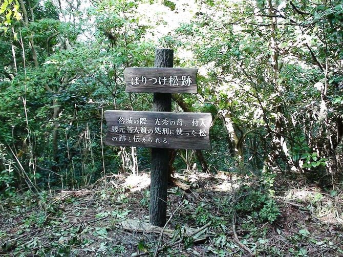 兵庫県丹波篠山市、高城山にある八上城跡の「はりつけ松跡」