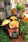 本社で研修を受けるためアルバイトでもセンスのいい花束を作ることができる