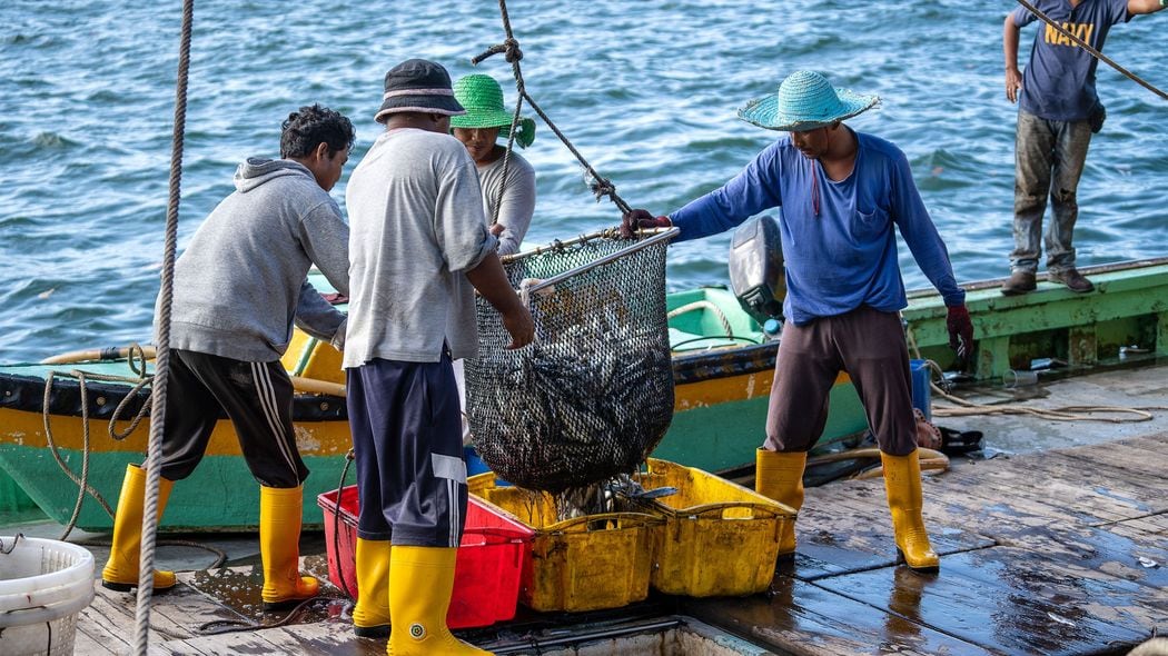 これが｢現代の奴隷制｣である…海外メディアが報じた｢中国人船員に酷使される漁師たち｣の遠洋漁業の現実 遺体は船の冷蔵庫に…繰り返される｢洋上の悲劇｣