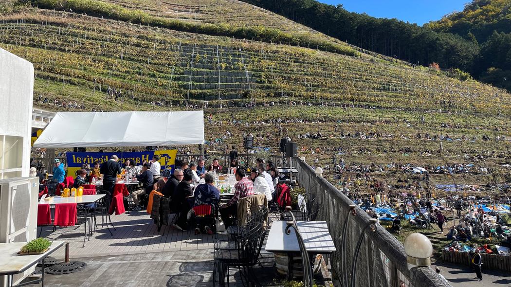 山梨産でも､長野産でもない…JALファーストクラスが採用した｢無名のワイン｣が世界で評価を一変させた理由