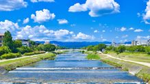 トンボもメダカもいなくなった…東日本大震災後に誕生した｢生き物たちの楽園｣は復旧事業で97%が消滅