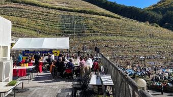 山梨産でも､長野産でもない…JALファーストクラスが採用した｢無名のワイン｣が世界で評価を一変させた理由【2026年1月BEST】