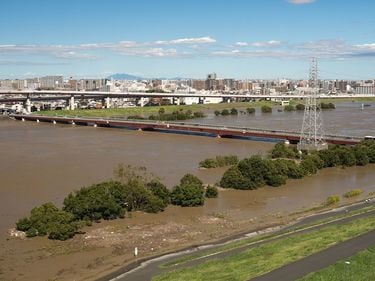 地上7メートルから水が押し寄せる…専門家ならだれでも知っている｢東京