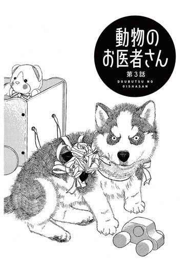 子犬のチョビが突然体調不良に⁉️獣医学部に連れて行くが…――『新装版