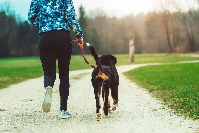 レッツゴー、散歩