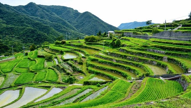 中山集落の「中山千枚田」