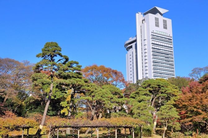 文京シビックセンターが見える景色