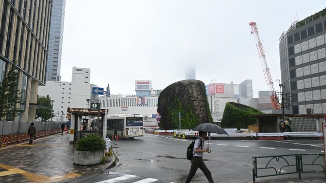 奥に見えるのが小田急ハルク。ベックカメラがテナント入居している